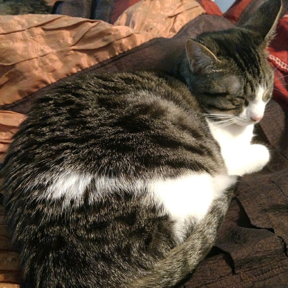 Meet your Posher, Kat - Picture 1 of 1